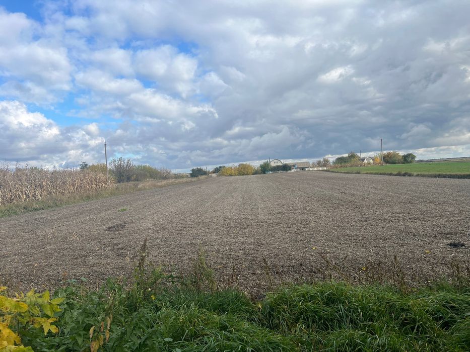 Продам будинок в селі Карабчиїв!