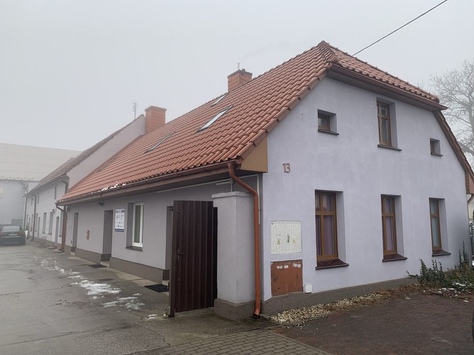 Lokal do wynajęcia