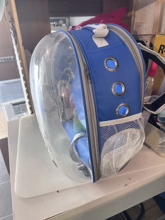 Mochila para gatos Azul