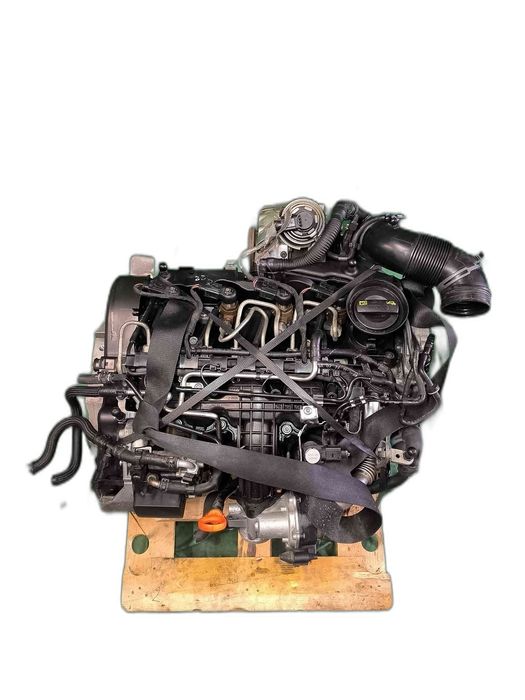 Motor Completo VW CADDY III Veículo multiuso 1.6 TDI (75 kW / 102 cv) [08.2010 - 05.2015] CAY (OEM)