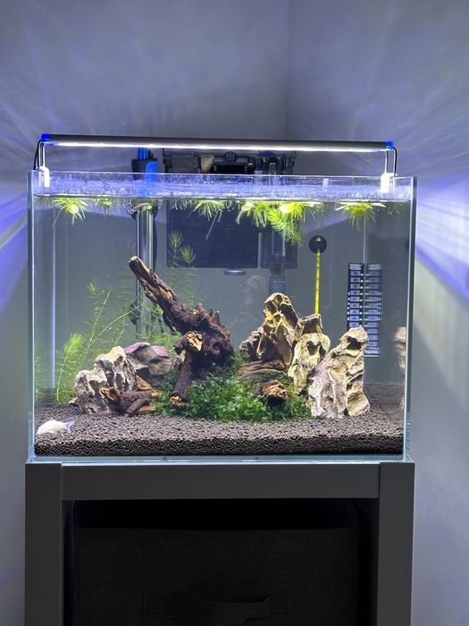 Aquario 40x35x30
