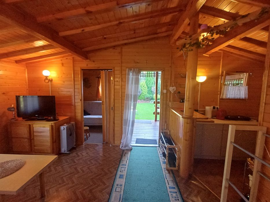 Sprzedaż działka ROD Wudzyn Międzylesie-Zachód