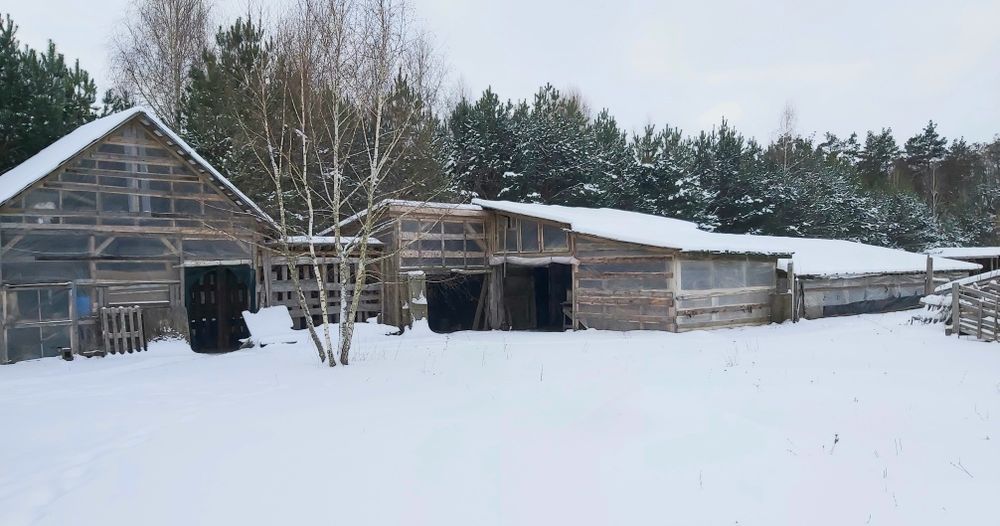Продам  свиноферму у ліса +10 Га землі,  20 км від Чернігова.