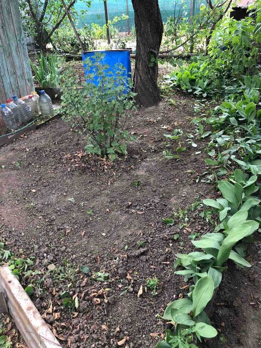 Продам дачу в черте города, Космический район