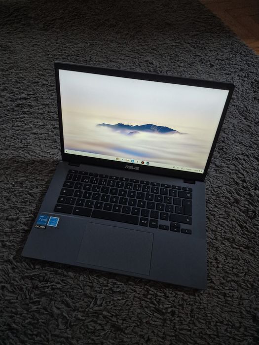 Portátil Asus Chromebook Plus CB3402CBA