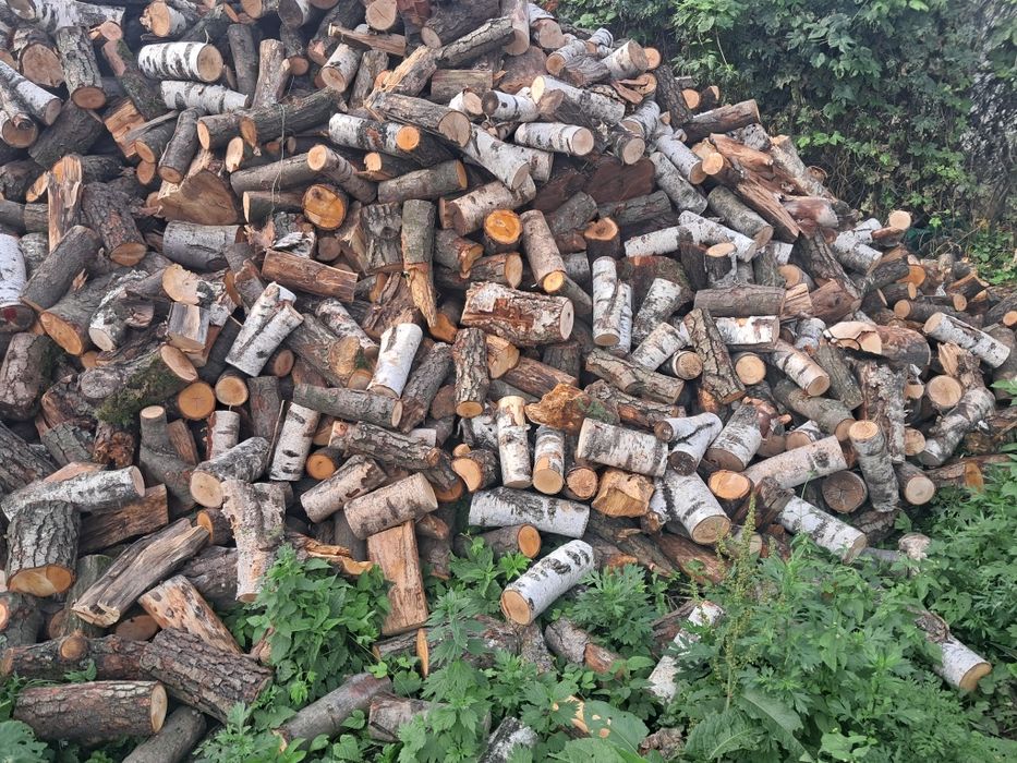 Drewno opałowe/kominkowe z transportem