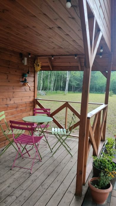 Domki letniskowe nad stawem.