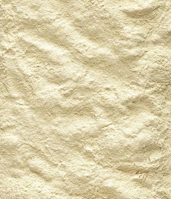 VERSELE-LAGA NutriBird A19 pokarm do ręcznego karmienia piskląt papug