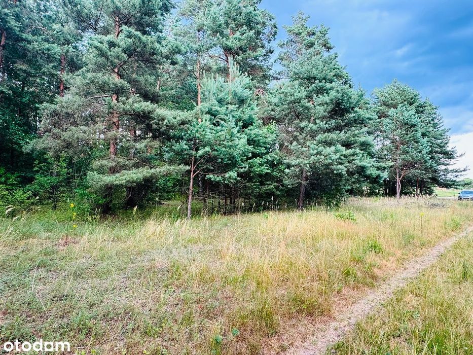 Działka budowlana z WZ , 4900 m² z malowniczym widokiem w Żernikach - Więcej