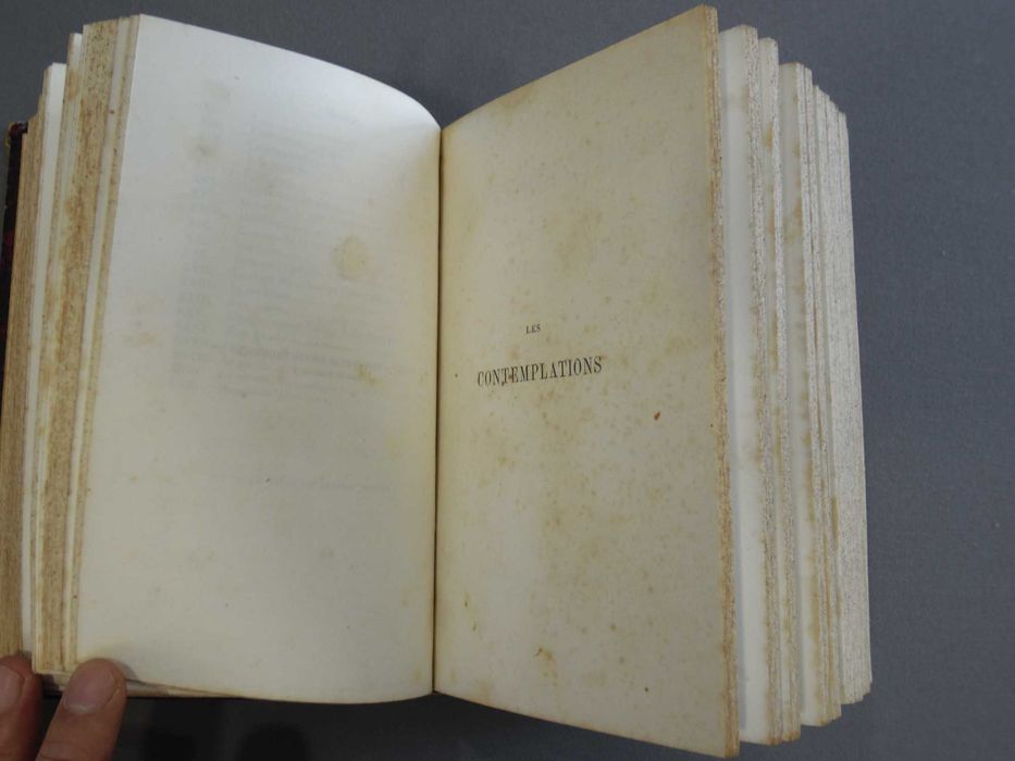 Livro Les Contemplations, '1858-'1863