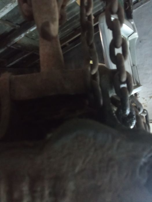 Cadernal guincho centenário.