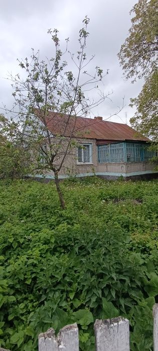 Продається будинок в мальовничому селі  Будичани, Житомирський район.