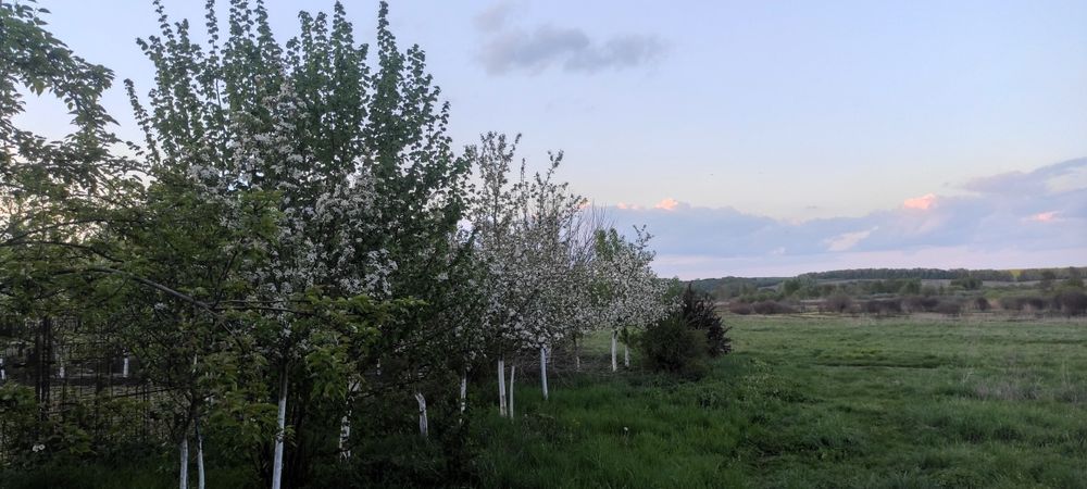 Незавершене будівництво і земельна ділянка