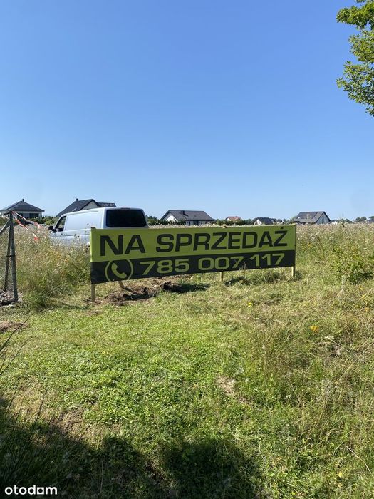 Zdjęcie 3
