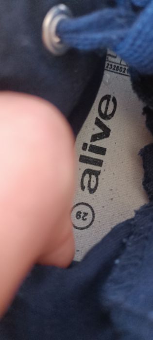 Кеды на молнии-29