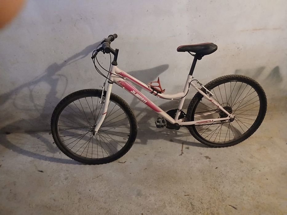 Bicicleta feminina