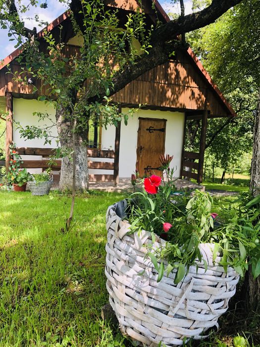 Садиба ЕКО-ДІМ, з власним Чаном та басейном відпочинок в Закарпатті