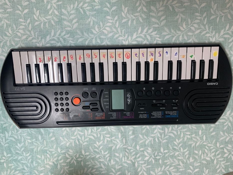 Órgão Casio SA-77