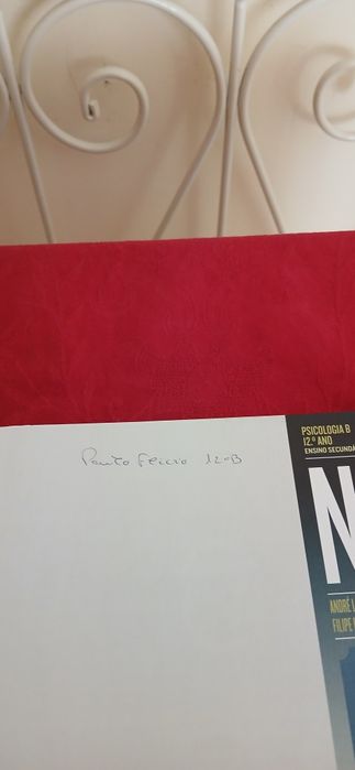 Caderno de atividades-Psicologia B