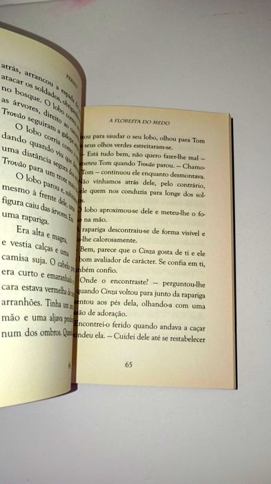 Feras e Heróis - Ferno - O Dragão de Fogo