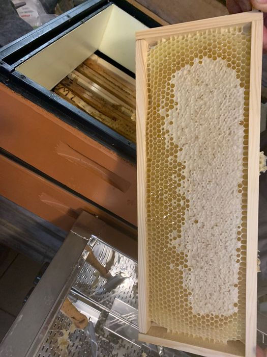 Miody kremowane, propolis, pyłek pszczeli z Walkuszowej Pasieki