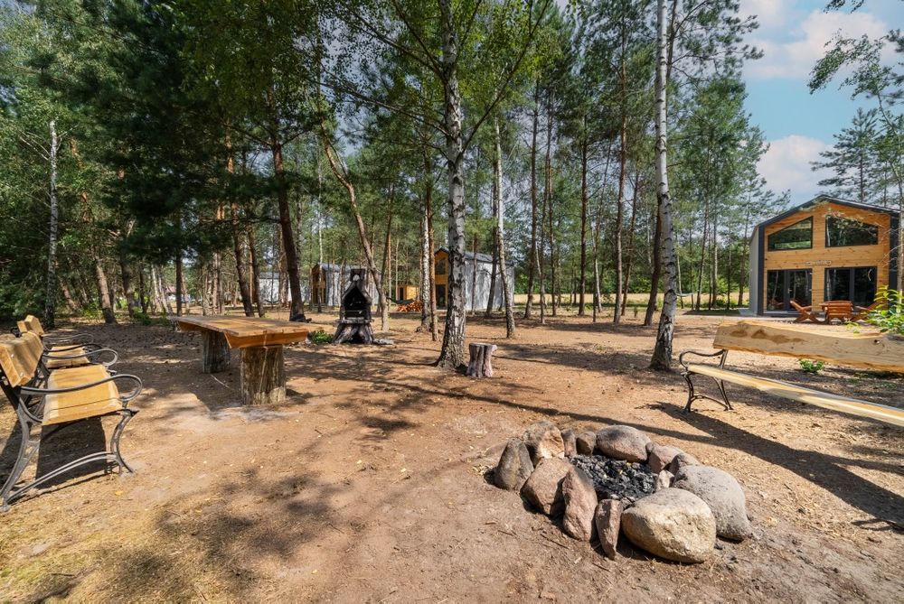 Domki z sauną  w lesie