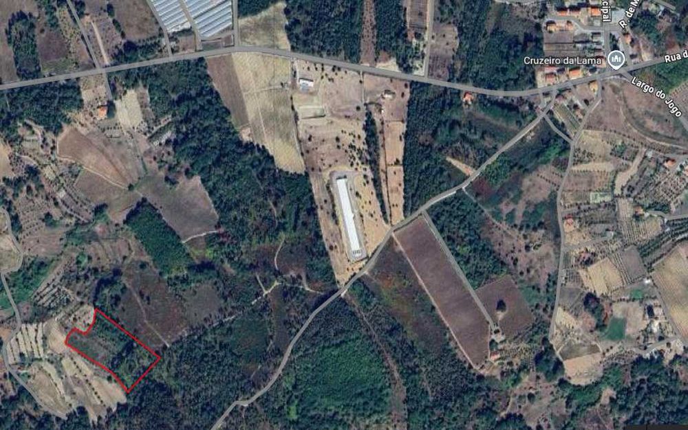 Vende-se Terreno Rústico - Agrícola - ALCAFACHE