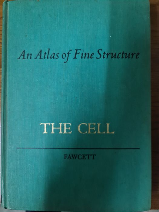 Atlas fine structure