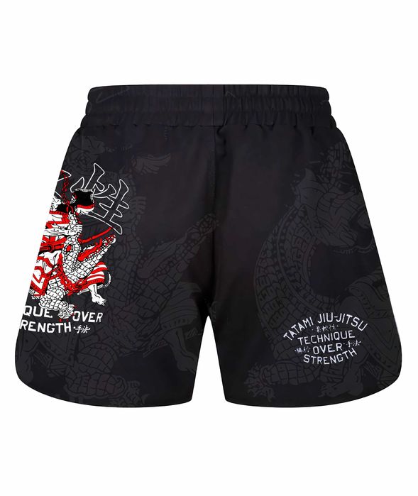 Шорты для Единоборств  Tatami  ММА / UFC / Box / Бокс