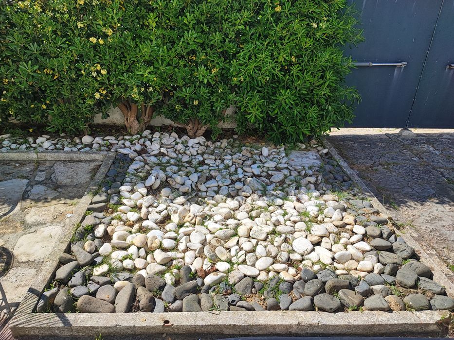 Pedras decorativas jardim