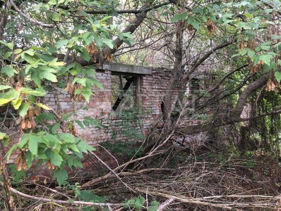 Продаж земельної ділянки Нові Безрадичі 100 сот