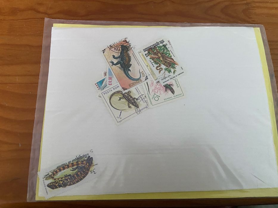 25 selos de Crocodilos