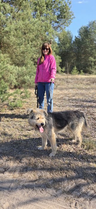 Fragles cudo misio kudłaty szuka chaty