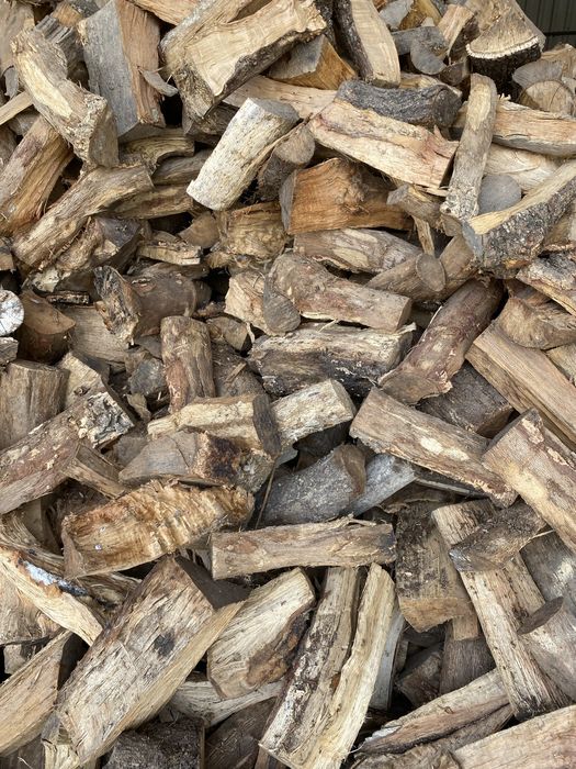 Venda se lenha de Eucalipto e de Sobreiro