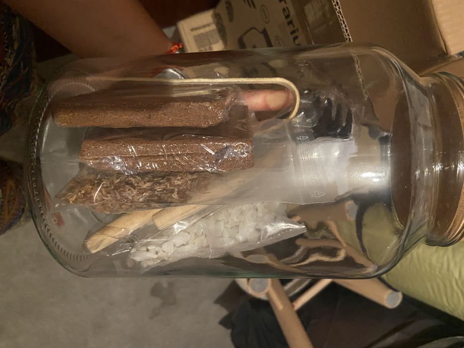 Terrarium kit novo