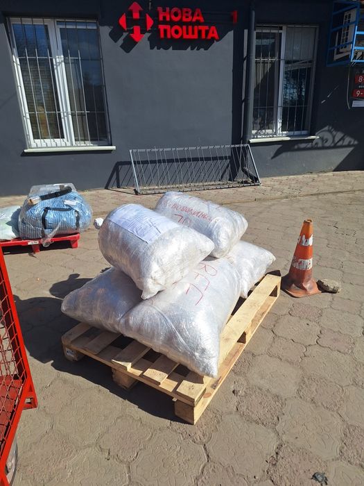 Канадська соя АББІ 1-А РЕПРОДУК на ПОСІВ! Рання Відправка НП! Делівері