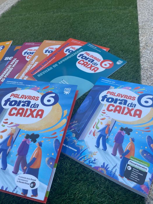 Livro palavras fora da caixa 6.º ano