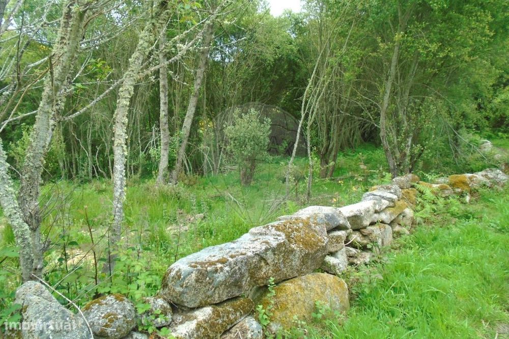 Terreno  para venda