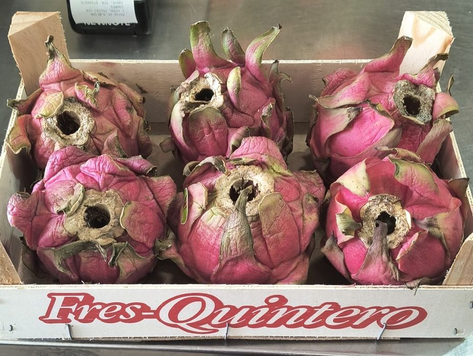 Caixas de pitaias otima qualidade para entregas