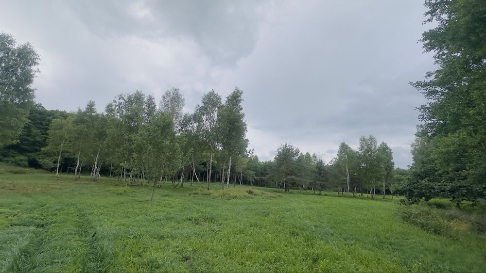Ділянка під дачу, відпочинковий комплекс, базу відпочинку.