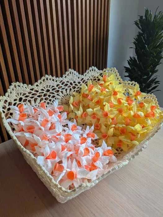 Narcyzy wiosenne 100sztuk