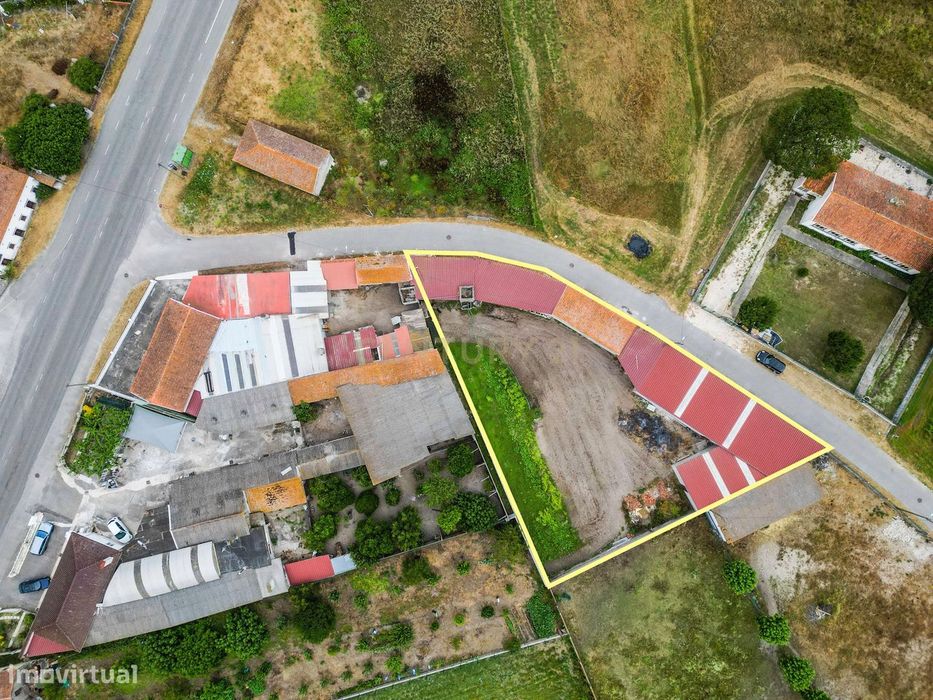Caniceira Plot, Tocha