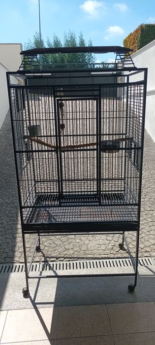 Vende  GAIOLA Papagaio