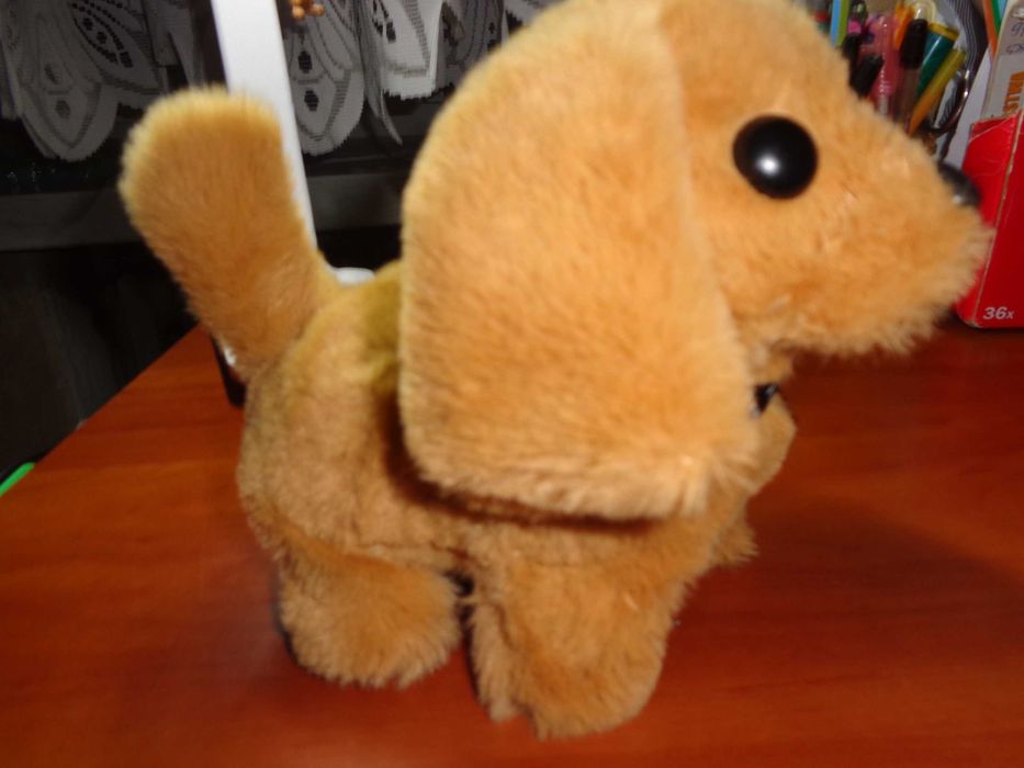 piesek chodzący ,szczekający