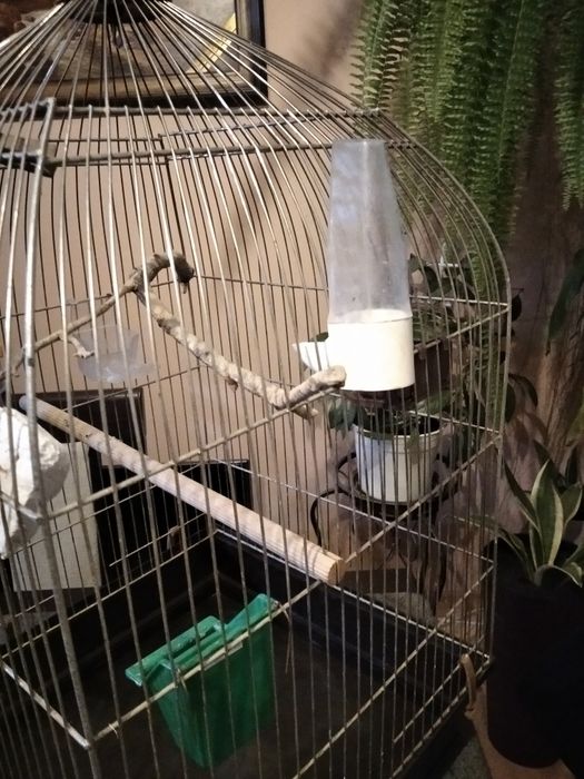 Klatka dla małej egzotyki