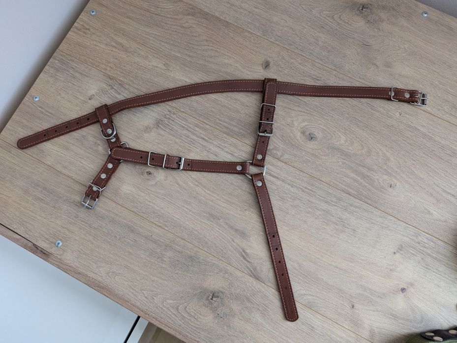 Collar Шлея одинарна для собак, шкіра, коричнева