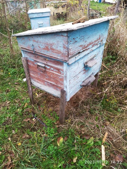 Вулики даданівські