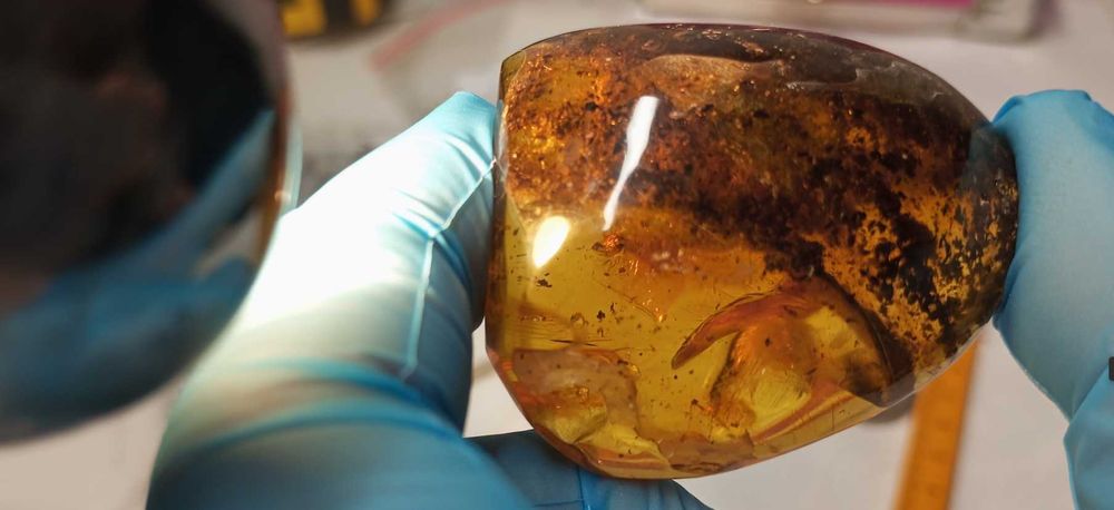 Bursztyn bałtycki poler na wisior lub  duży pierścień 19  gram darmowa wysyłka