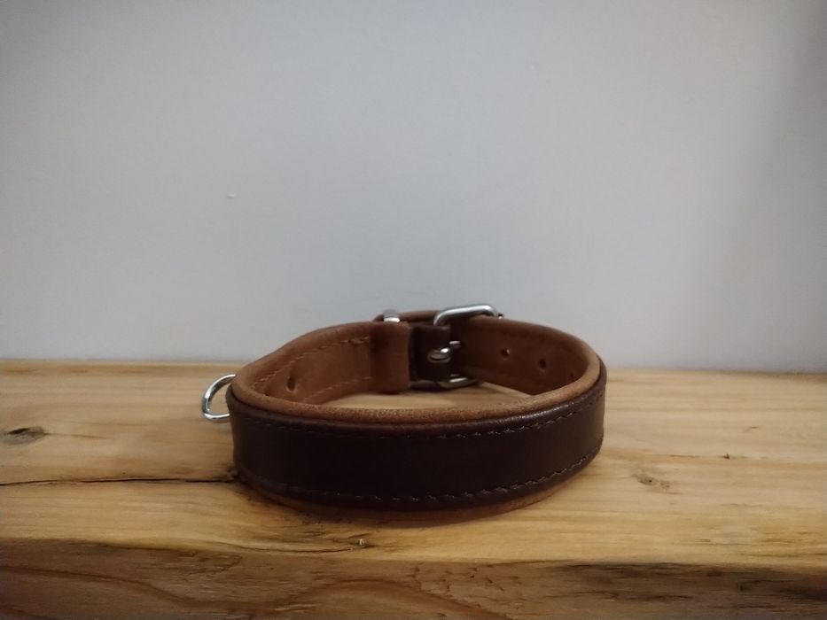 Tropowa obroża dla psa mocna