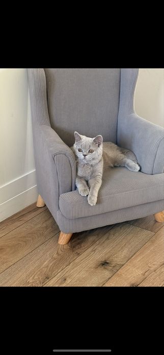 Fotel do pokoju dzieciecego